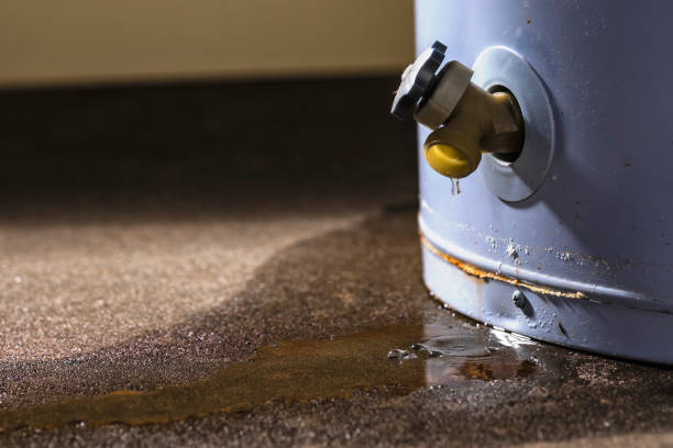 Best Water damage restoration near me  in Warren Af, WY
