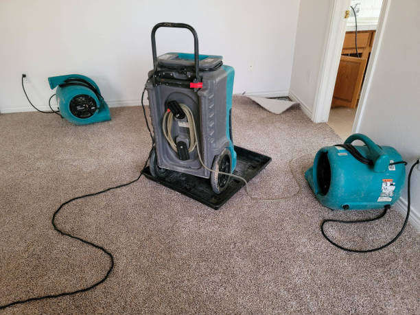 Best Ceiling water damage repair  in Warren Af, WY