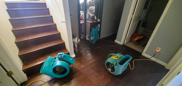Best Commercial water damage restoration  in Warren Af, WY