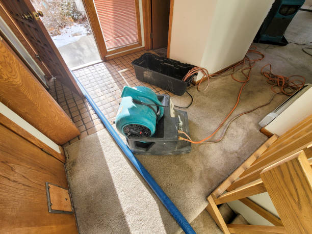 Best Sewage cleanup and water damage restoration  in Warren Af, WY