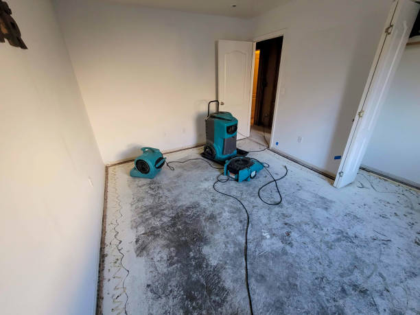 Trusted Warren Af, WY Water damage restoration Experts