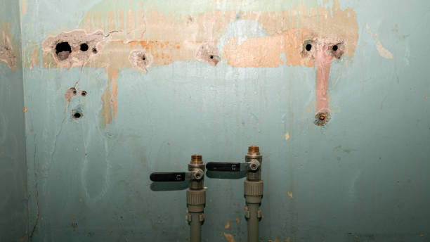 Best Emergency water damage restoration  in Warren Af, WY